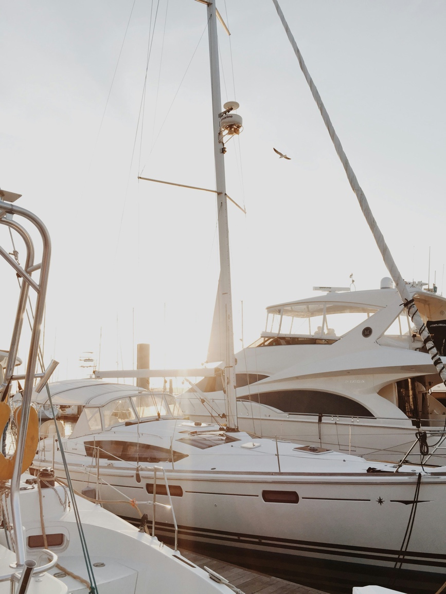 A row of luxury yachts parked neatly at a premium Palm Beach marina dock, showcasing mirror-like gelcoat reflections.