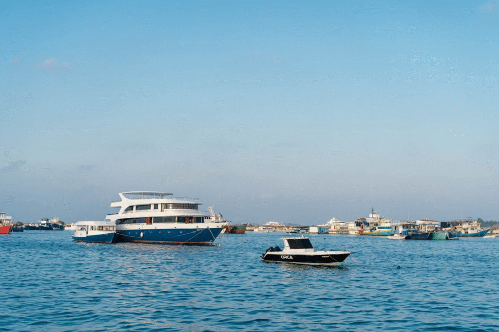 Professional yacht detailing services